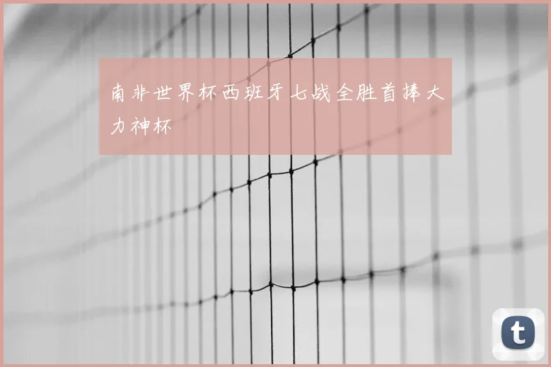 南非世界杯西班牙七战全胜首捧大力神杯
