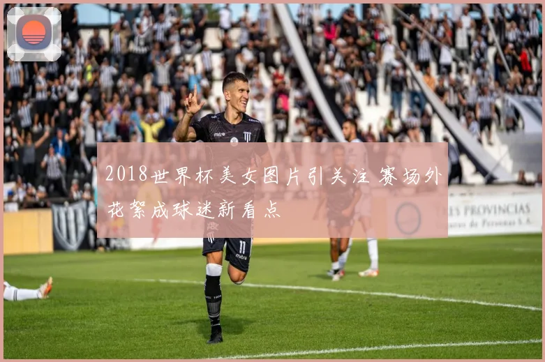 2018世界杯美女图片引关注 赛场外花絮成球迷新看点