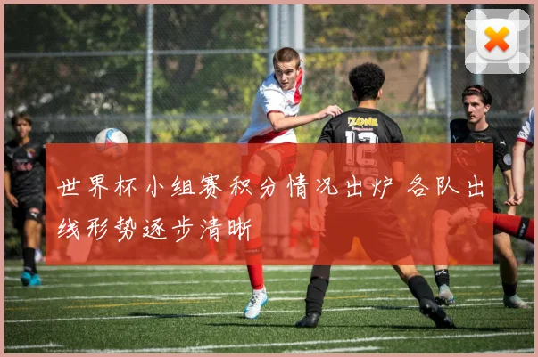 世界杯小组赛积分情况出炉 各队出线形势逐步清晰