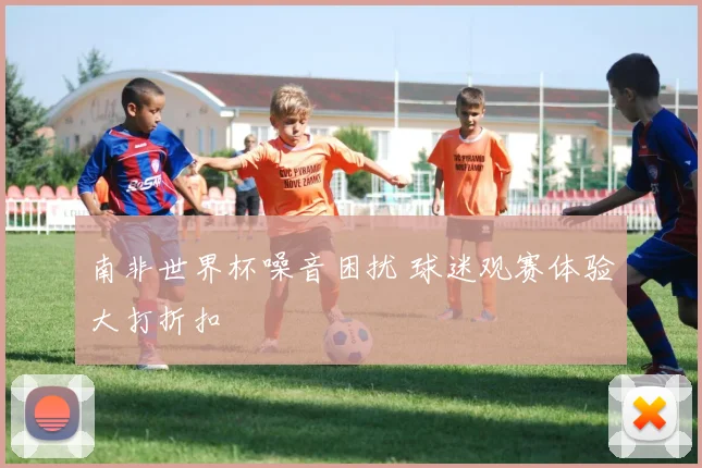 南非世界杯噪音困扰 球迷观赛体验大打折扣