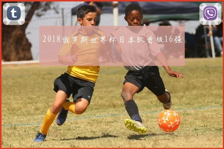 2018俄罗斯世界杯日本队晋级16强